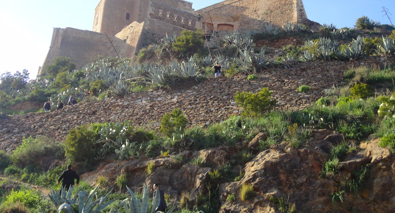 Festival Oran